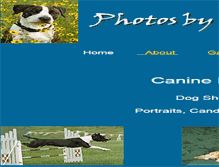 Tablet Screenshot of photosbysaranugent.com